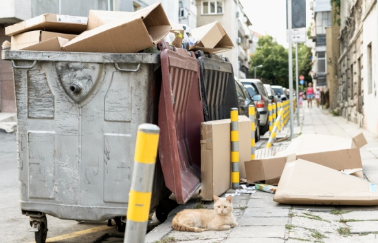 Moving Soon? Here’s Why You Should Rent a Dumpster First